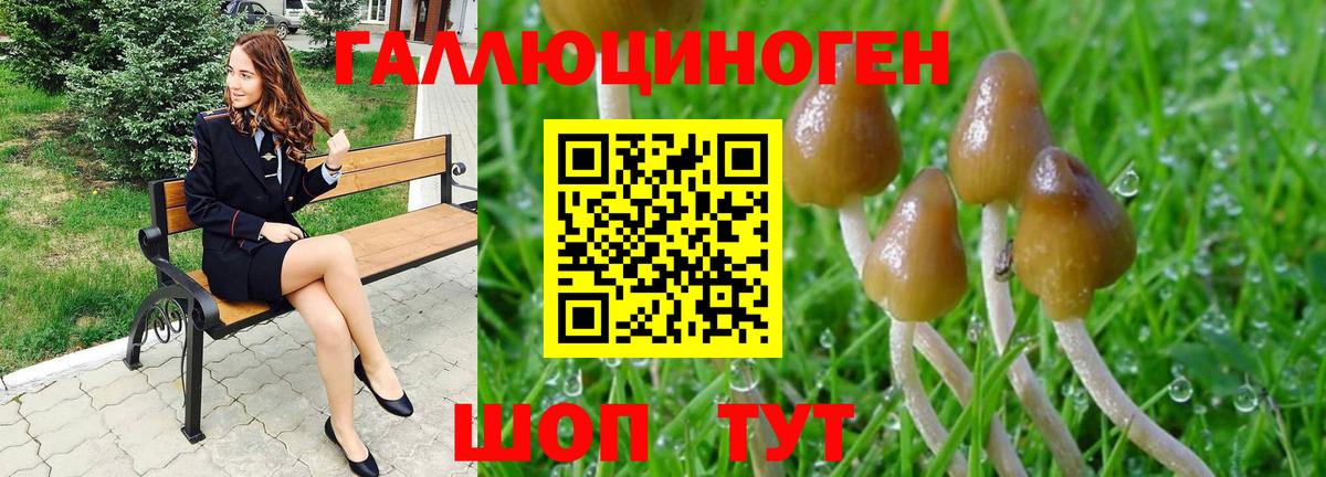 Ахтубинск  Псилоцибиновые грибы ЛСД  Вход с VPN  Псилоцибиновые грибы Magic Shrooms 