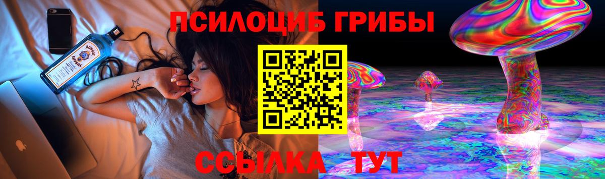 Псилоцибиновые грибы Cubensis Ахтубинск